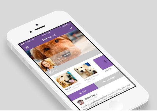 成都app開發，寵物社交app有開發的價值嗎