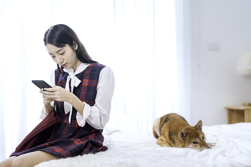 成都APP開發：寵物社交APP軟件開發，哪方面值得注意？